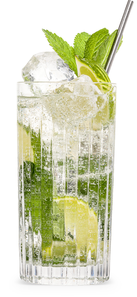 The SOUTHSIDE A.K.A. THE GIN MOJITO